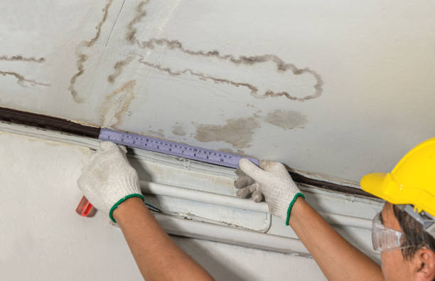 Reliable Mold Remediation contractor in Lodi, NJ by Water Damage Irwin